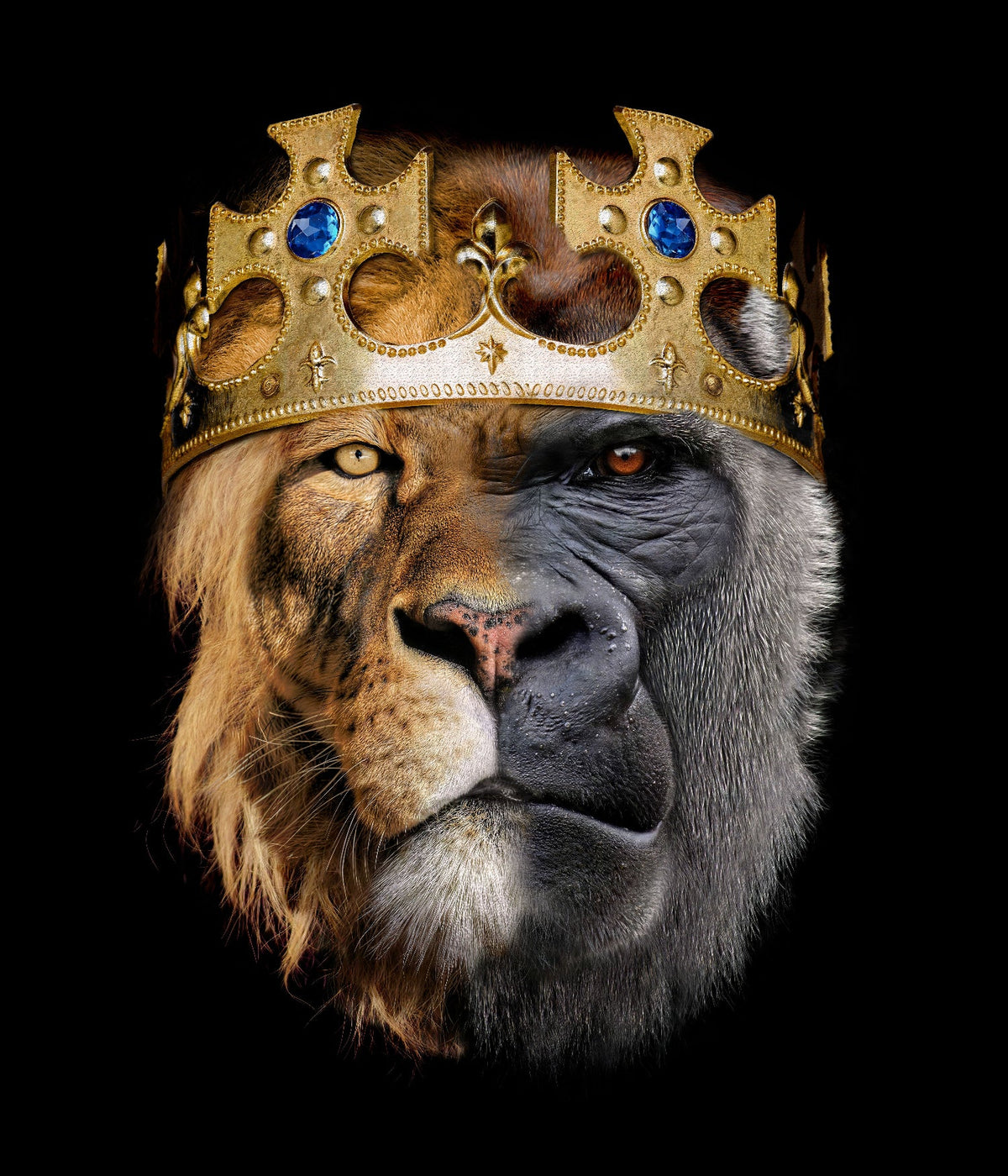 A close-up portrait designed by Alexander Nicholas of a hybrid Lion and gorilla wearing an ornate gold crown with jeweled details, set against a solid black background.