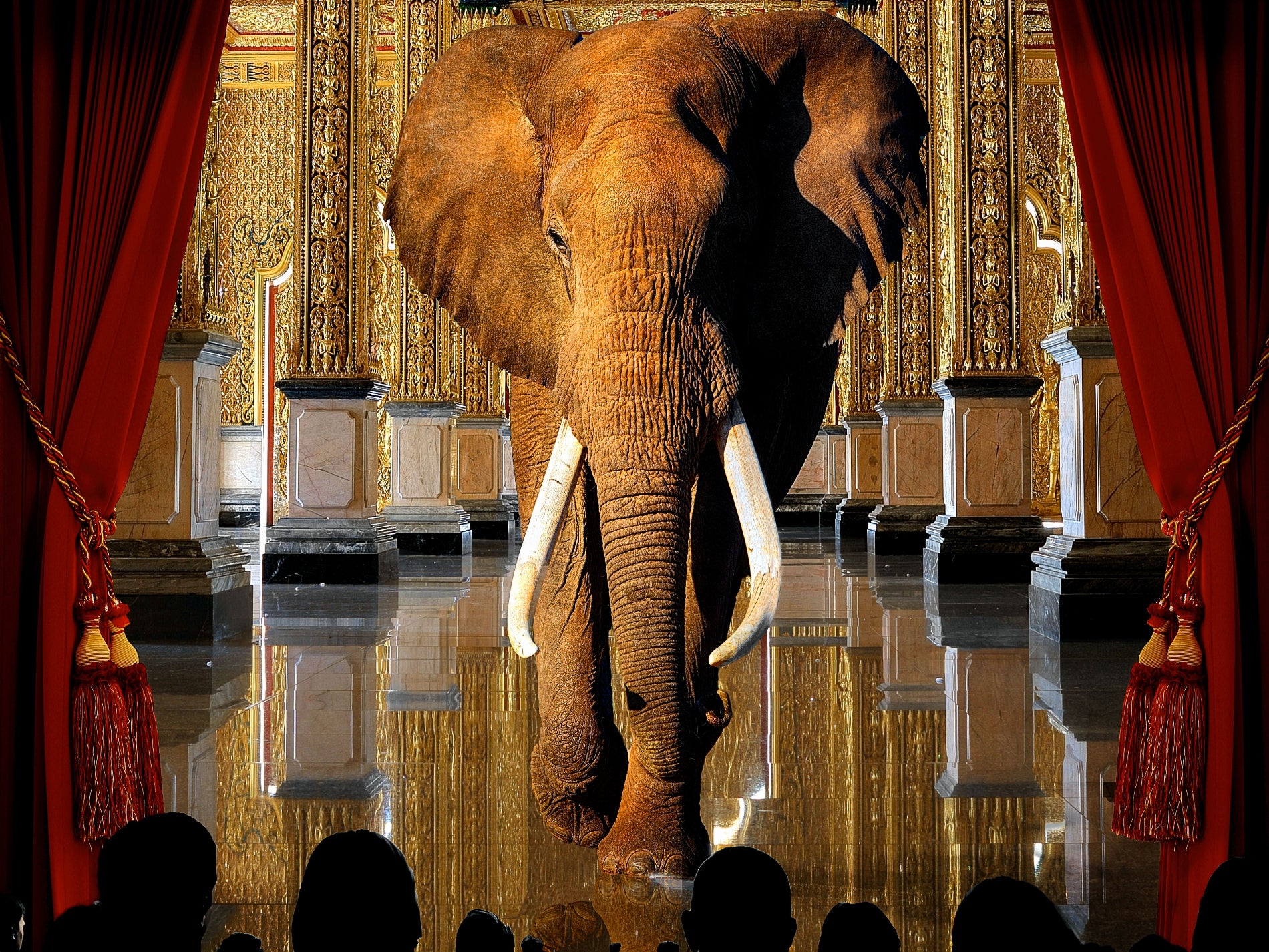 Elephant In The Room