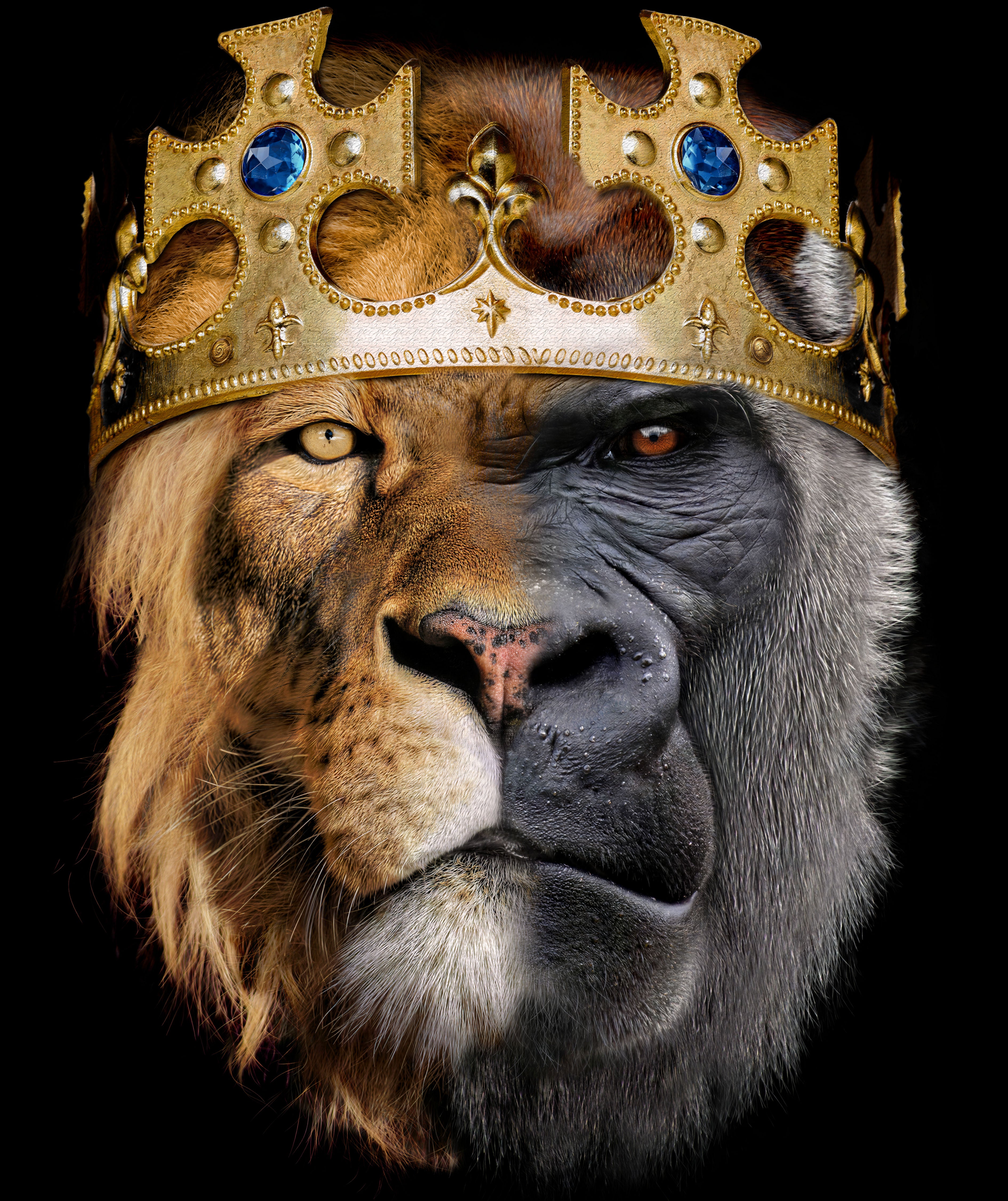 King Strong