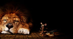 Out of the Frying Pan and Into the Fire surrealistic photographic artwork by Alexander Nicholas featuring a frightened mouse fleeing a mousetrap toward a sleeping lion, symbolizing unintended consequences and poor decision-making.
